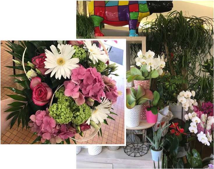 vente de fleurs à Villié-Morgon dans le Rhône (69)