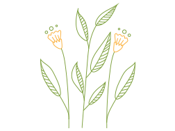 création florale pour événements à Villié-Morgon dans le Rhône (69)