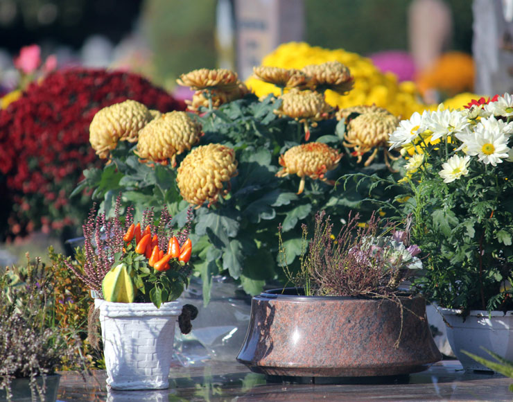 décoration florale dans le Rhône (69)