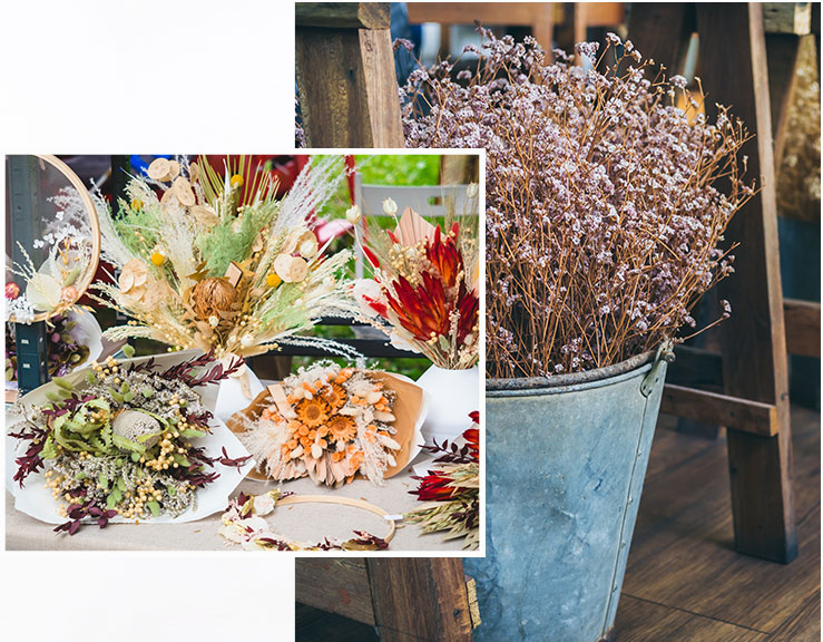 vente fleurs séchés à Villié-Morgon dans le Rhône (69)